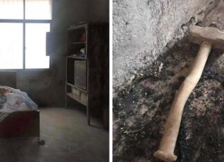 ਭਰਾਵਾਂ ਨੇ ਭੈਣ ਨਾਲ ਲਿਵ-ਇਨ ‘ਚ ਰਹਿੰਦੇ ਮੁੰਡੇ ਦਾ ਸਿਰ ‘ਚ ਹਥੌੜੇ ਮਾਰ-ਮਾਰ ਬੇਰਹਿਮੀ ਨਾਲ ਕੀਤਾ ਕਤਲ