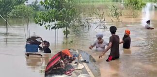 ਪਾਣੀ ‘ਚ ਡੁੱਬੇ ਪਿੰਡਾਂ ‘ਚ NDRF ਦੇ ਨਾਲ ਫੌਜ ਨੇ ਸਾਂਭਿਆ ਮੋਰਚਾ, ਅਜੇ 4 ਦਿਨ ਹੋਰ ਖੁੱਲ੍ਹੇ ਰਹਿਣਗੇ ਭਾਖੜਾ ਦੇ ਫਲੱਡ ਗੇਟ