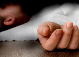 ਪਠਾਨਕੋਟ : ਆਵਾਰਾ ਕੁੱਤਿਆਂ ਤੋਂ ਬਚਣ ਲਈ ਗੇਟ ‘ਤੇ ਚੜ੍ਹਨ ਲੱਗੇ 7ਵੀਂ ਦੇ ਵਿਦਿਆਰਥੀ ਉਤੇ ਡਿਗਿਆ ਲੋਹੇ ਦਾ ਭਾਰੀ ਗੇਟ, ਮੌਤ