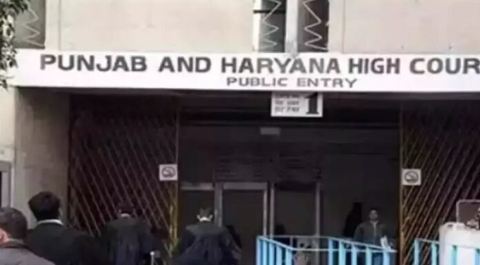 ਹਾਈਕੋਰਟ ਦੀ ਸਖਤ ਟਿੱਪਣੀ : ਪੰਜਾਬ ਤੇ ਹਰਿਆਣਾ ਦੇ ਜ਼ਿਆਦਾਤਰ ਬੀਐੱਡ ਕਾਲਜ ਗੈਰ-ਕਾਨੂੰਨੀ, NCTE ‘ਤੇ ਚਲਾਇਆ ਜਾਣਾ ਚਾਹੀਦਾ ਮੁਕੱਦਮਾ