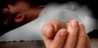 ਲੁਧਿਆਣਾ : ਮੰਦਰ ਤੋਂ ਵਾਪਸ ਆਉਂਦੇ 5 ਸਾਲਾ ਬੱਚੇ ਨੂੰ ਸੜਕ ‘ਤੇ ਲੜਦੇ ਸਾਨ੍ਹਾਂ ਨੇ ਕੁਚਲਿਆ, ਦਰਦਨਾਕ ਮੌਤ