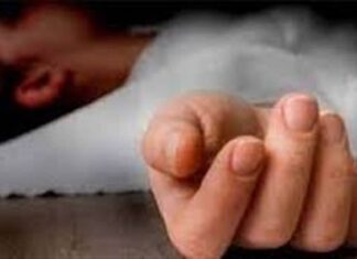 ਲੁਧਿਆਣਾ : ਮੰਦਰ ਤੋਂ ਵਾਪਸ ਆਉਂਦੇ 5 ਸਾਲਾ ਬੱਚੇ ਨੂੰ ਸੜਕ ‘ਤੇ ਲੜਦੇ ਸਾਨ੍ਹਾਂ ਨੇ ਕੁਚਲਿਆ, ਦਰਦਨਾਕ ਮੌਤ