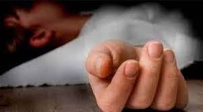 ਲੁਧਿਆਣਾ : ਮੰਦਰ ਤੋਂ ਵਾਪਸ ਆਉਂਦੇ 5 ਸਾਲਾ ਬੱਚੇ ਨੂੰ ਸੜਕ ‘ਤੇ ਲੜਦੇ ਸਾਨ੍ਹਾਂ ਨੇ ਕੁਚਲਿਆ, ਦਰਦਨਾਕ ਮੌਤ