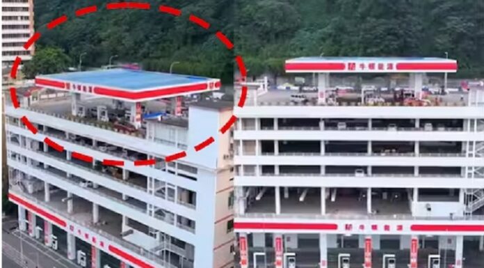 ਥੱਲੇ ਥਾਂ ਨਾ ਮਿਲੀ ਤਾਂ 5ਵੀਂ ਮੰਜ਼ਿਲ ‘ਤੇ ਹੀ ਬਣਾ’ਤਾ ਪੈਟਰੋਲ ਪੰਪ, ਹੁਣ ਲੋਕ ਸੋਚਦੇ, ਤੇਲ ਕਿੱਦਾਂ ਪੁਆਈਏ