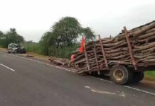 ਦਰਦਨਾਕ ਹਾਦਸਾ ! ਲੱਕੜਾਂ ਦੀ ਭਰੀ ਟਰਾਲੀ ਨਾਲ ਕਾਰ ਟਕਰਾਉਣ ਕਾਰਨ 4 ਵਿਅਕਤੀਆਂ ਦੀ ਮੌਤ