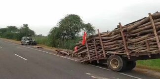 ਦਰਦਨਾਕ ਹਾਦਸਾ ! ਲੱਕੜਾਂ ਦੀ ਭਰੀ ਟਰਾਲੀ ਨਾਲ ਕਾਰ ਟਕਰਾਉਣ ਕਾਰਨ 4 ਵਿਅਕਤੀਆਂ ਦੀ ਮੌਤ