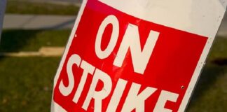 ਸਰਕਾਰ ਦੀ ਚੇਤਾਵਨੀ ਦਰਕਿਨਾਰ, ਅੱਜ ਤੋਂ ਪਟਵਾਰੀਆਂ ਦੀ ਹੜਤਾਲ, ਐਸਮਾ ਨੂੰ ਅਦਾਲਤ ‘ਚ ਦੇਣਗੇ ਚੁਣੌਤੀ