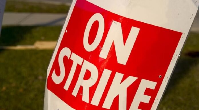 ਸਰਕਾਰ ਦੀ ਚੇਤਾਵਨੀ ਦਰਕਿਨਾਰ, ਅੱਜ ਤੋਂ ਪਟਵਾਰੀਆਂ ਦੀ ਹੜਤਾਲ, ਐਸਮਾ ਨੂੰ ਅਦਾਲਤ ‘ਚ ਦੇਣਗੇ ਚੁਣੌਤੀ