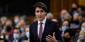 ਸਟੱਡੀ ਵੀਜ਼ਾ ਨੂੰ ਲੈ ਕੇ ਟਰੂਡੋ ਸਰਕਾਰ ਦਾ ਵੱਡਾ ਫ਼ੈਸਲਾ : ਨਵੇਂ ਨਿਯਮਾਂ ਤਹਿਤ ਹੁਣ ਨਹੀਂ ਹੋਵੇਗੀ ਵਿਦਿਆਰਥੀਆਂ ਨਾਲ ਠੱਗੀ