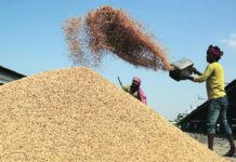 ਪੰਜਾਬ ‘ਚ ਝੋਨੇ ਦੀ ਸੁਚਾਰੂ ਖਰੀਦ ਅੱਜ ਤੋਂ ਸ਼ੁਰੂ : ਮੰਡੀ ਬੋਰਡ ਨੇ 1854 ਖਰੀਦ ਕੇਂਦਰ ਕੀਤੇ ਨੋਟੀਫਾਈ