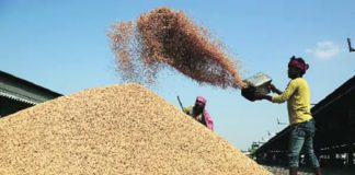 ਪੰਜਾਬ ‘ਚ ਝੋਨੇ ਦੀ ਸੁਚਾਰੂ ਖਰੀਦ ਅੱਜ ਤੋਂ ਸ਼ੁਰੂ : ਮੰਡੀ ਬੋਰਡ ਨੇ 1854 ਖਰੀਦ ਕੇਂਦਰ ਕੀਤੇ ਨੋਟੀਫਾਈ