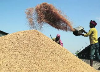 ਪੰਜਾਬ ‘ਚ ਝੋਨੇ ਦੀ ਸੁਚਾਰੂ ਖਰੀਦ ਅੱਜ ਤੋਂ ਸ਼ੁਰੂ : ਮੰਡੀ ਬੋਰਡ ਨੇ 1854 ਖਰੀਦ ਕੇਂਦਰ ਕੀਤੇ ਨੋਟੀਫਾਈ