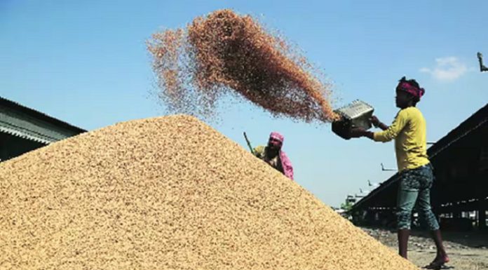 ਪੰਜਾਬ ‘ਚ ਝੋਨੇ ਦੀ ਸੁਚਾਰੂ ਖਰੀਦ ਅੱਜ ਤੋਂ ਸ਼ੁਰੂ : ਮੰਡੀ ਬੋਰਡ ਨੇ 1854 ਖਰੀਦ ਕੇਂਦਰ ਕੀਤੇ ਨੋਟੀਫਾਈ