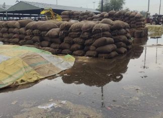 ਪੰਜਾਬ ‘ਚ ਸਵੇਰ ਤੋਂ ਭਾਰੀ ਮੀਂਹ ਵਿਚਾਲੇ ਮੰਡੀਆਂ ‘ਚ ਖਰਾਬ ਹੋਈ ਹਜ਼ਾਰਾਂ ਟਨ ਫਸਲ