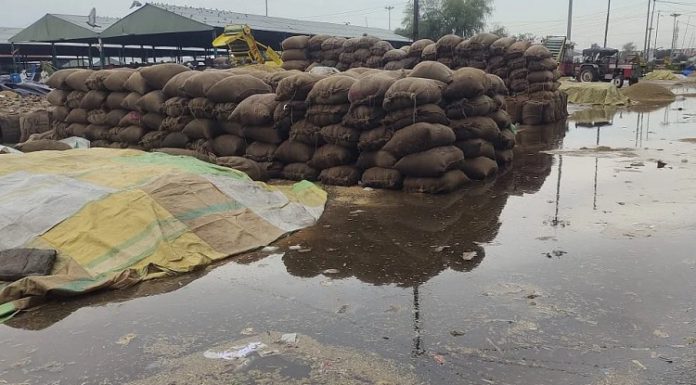 ਪੰਜਾਬ ‘ਚ ਸਵੇਰ ਤੋਂ ਭਾਰੀ ਮੀਂਹ ਵਿਚਾਲੇ ਮੰਡੀਆਂ ‘ਚ ਖਰਾਬ ਹੋਈ ਹਜ਼ਾਰਾਂ ਟਨ ਫਸਲ