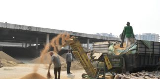 ਜਲੰਧਰ ’ਚ ਝੋਨੇ ਦੀ ਸਰਕਾਰੀ ਖ਼ਰੀਦ ਟੀਚੇ ਦੇ ਅੱਧ ਤੋਂ ਟੱਪੀ