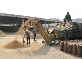 ਜਲੰਧਰ ’ਚ ਝੋਨੇ ਦੀ ਸਰਕਾਰੀ ਖ਼ਰੀਦ ਟੀਚੇ ਦੇ ਅੱਧ ਤੋਂ ਟੱਪੀ