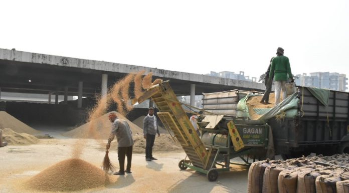 ਜਲੰਧਰ ’ਚ ਝੋਨੇ ਦੀ ਸਰਕਾਰੀ ਖ਼ਰੀਦ ਟੀਚੇ ਦੇ ਅੱਧ ਤੋਂ ਟੱਪੀ