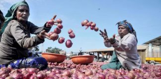 ਪਿਆਜ਼ ਦੀਆਂ ਕੀਮਤਾਂ 100 ਦੇ ਨੇੜੇ ਪੁੱਜੀਆਂ, ਹੋਰ ਵੀ ਡਰਾਉਣਾ ਹੈ ਮਾਹਿਰਾਂ ਦਾ ਦਾਅਵਾ