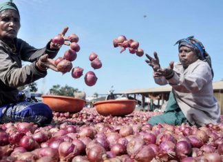ਪਿਆਜ਼ ਦੀਆਂ ਕੀਮਤਾਂ 100 ਦੇ ਨੇੜੇ ਪੁੱਜੀਆਂ, ਹੋਰ ਵੀ ਡਰਾਉਣਾ ਹੈ ਮਾਹਿਰਾਂ ਦਾ ਦਾਅਵਾ