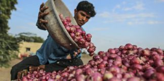 ਮਹਿੰਗਾਈ ਦਾ ਝਟਕਾ : ਹਫਤਾ ਪਹਿਲਾਂ 20 ਰੁਪਏ ਕਿਲੋ ਵਿਕਣ ਵਾਲਾ ਪਿਆਜ਼ 70 ਤੋਂ ਹੋਇਆ ਪਾਰ