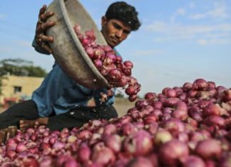 ਮਹਿੰਗਾਈ ਦਾ ਝਟਕਾ : ਹਫਤਾ ਪਹਿਲਾਂ 20 ਰੁਪਏ ਕਿਲੋ ਵਿਕਣ ਵਾਲਾ ਪਿਆਜ਼ 70 ਤੋਂ ਹੋਇਆ ਪਾਰ