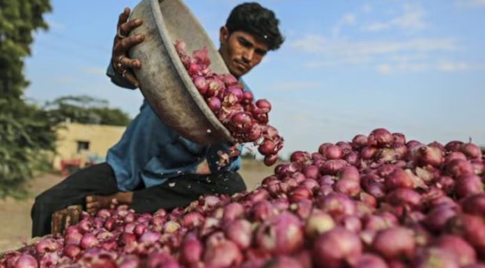 ਮਹਿੰਗਾਈ ਦਾ ਝਟਕਾ : ਹਫਤਾ ਪਹਿਲਾਂ 20 ਰੁਪਏ ਕਿਲੋ ਵਿਕਣ ਵਾਲਾ ਪਿਆਜ਼ 70 ਤੋਂ ਹੋਇਆ ਪਾਰ