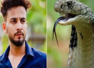 ਸੱਪਾਂ ਦਾ ਜ਼ਹਿਰ ਮਾਮਲਾ : ਨੋਇਡਾ ਪੁਲਿਸ ਸਾਹਮਣੇ ਪੇਸ਼ ਹੋਇਆ ਯੂਟਿਊਬਰ Elvish yadav, ਕਿਹਾ- ਮੈਂ ਬੇਕਸੂਰ ਹਾਂ