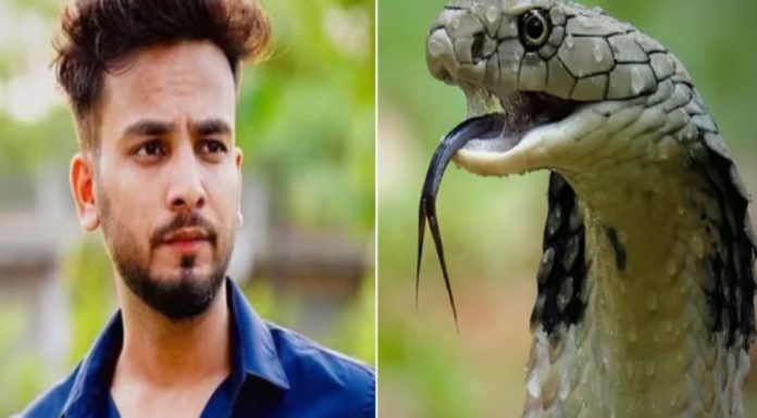 ਸੱਪਾਂ ਦਾ ਜ਼ਹਿਰ ਮਾਮਲਾ : ਨੋਇਡਾ ਪੁਲਿਸ ਸਾਹਮਣੇ ਪੇਸ਼ ਹੋਇਆ ਯੂਟਿਊਬਰ Elvish yadav, ਕਿਹਾ- ਮੈਂ ਬੇਕਸੂਰ ਹਾਂ