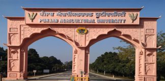 19 ਅਹਿਮ ਮੁੱਦਿਆਂ ’ਤੇ ‘ਮੈਂ ਪੰਜਾਬ ਬੋਲਦਾ’ ਦੀ ਮਹਾਡਿਬੇਟ ਅੱਜ; ਸੁਰੱਖਿਆ ਦੇ ਮੱਦੇਨਜ਼ਰ PAU ਲੁਧਿਆਣਾ ‘ਚ 2 ਹਜ਼ਾਰ ਪੁਲਿਸ ਫੋਰਸ ਕੀਤੀ ਤਾਇਨਾਤ