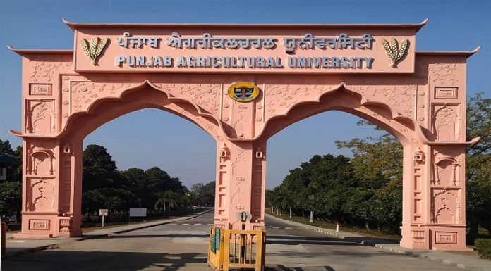 19 ਅਹਿਮ ਮੁੱਦਿਆਂ ’ਤੇ ‘ਮੈਂ ਪੰਜਾਬ ਬੋਲਦਾ’ ਦੀ ਮਹਾਡਿਬੇਟ ਅੱਜ; ਸੁਰੱਖਿਆ ਦੇ ਮੱਦੇਨਜ਼ਰ PAU ਲੁਧਿਆਣਾ ‘ਚ 2 ਹਜ਼ਾਰ ਪੁਲਿਸ ਫੋਰਸ ਕੀਤੀ ਤਾਇਨਾਤ