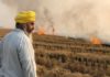 ਅਹਿਮ ਖਬਰ : ਪਰਾਲੀ ਸਾੜਨ ਵਾਲੇ ਕਿਸਾਨਾਂ ਨੂੰ ਨਹੀਂ ਮਿਲੇਗੀ ਸਰਕਾਰੀ ਸਕੀਮ ਤੇ ਕਰਜ਼ਾ
