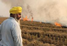 ਅਹਿਮ ਖਬਰ : ਪਰਾਲੀ ਸਾੜਨ ਵਾਲੇ ਕਿਸਾਨਾਂ ਨੂੰ ਨਹੀਂ ਮਿਲੇਗੀ ਸਰਕਾਰੀ ਸਕੀਮ ਤੇ ਕਰਜ਼ਾ