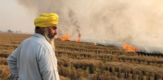 ਅਹਿਮ ਖਬਰ : ਪਰਾਲੀ ਸਾੜਨ ਵਾਲੇ ਕਿਸਾਨਾਂ ਨੂੰ ਨਹੀਂ ਮਿਲੇਗੀ ਸਰਕਾਰੀ ਸਕੀਮ ਤੇ ਕਰਜ਼ਾ