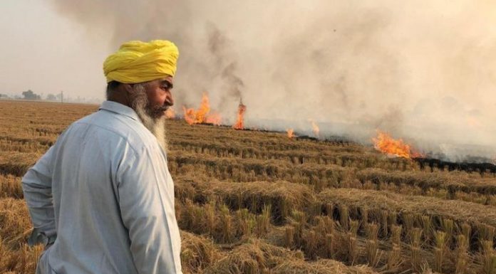 ਅਹਿਮ ਖਬਰ : ਪਰਾਲੀ ਸਾੜਨ ਵਾਲੇ ਕਿਸਾਨਾਂ ਨੂੰ ਨਹੀਂ ਮਿਲੇਗੀ ਸਰਕਾਰੀ ਸਕੀਮ ਤੇ ਕਰਜ਼ਾ