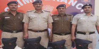 ਹਿਮਾਚਲੋਂ ਲਿਆ ਕੇੇ ਪੰਜਾਬ ‘ਚ ਵੇਚਦੇ ਸਨ ਚਰਸ, ਪੁਲਿਸ ਨੇ 4 ਨੌਜਵਾਨ ਕੀਤੇ ਗ੍ਰਿਫਤਾਰ