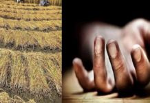ਬਠਿੰਡਾ : ਕਿਸਾਨ ਨੇ ਪਰਾਲੀ ਨੂੰ ਲਗਾਈ ਅੱਗ, ਮੌਕੇ ‘ਤੇ ਪੁੱਜੇ ਅਧਿਕਾਰੀ; ਡਰ ਦੇ ਮਾਰੇ ਦਿੱਤੀ ਜਾਨ