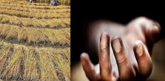 ਬਠਿੰਡਾ : ਕਿਸਾਨ ਨੇ ਪਰਾਲੀ ਨੂੰ ਲਗਾਈ ਅੱਗ, ਮੌਕੇ ‘ਤੇ ਪੁੱਜੇ ਅਧਿਕਾਰੀ; ਡਰ ਦੇ ਮਾਰੇ ਦਿੱਤੀ ਜਾਨ