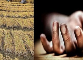 ਬਠਿੰਡਾ : ਕਿਸਾਨ ਨੇ ਪਰਾਲੀ ਨੂੰ ਲਗਾਈ ਅੱਗ, ਮੌਕੇ ‘ਤੇ ਪੁੱਜੇ ਅਧਿਕਾਰੀ; ਡਰ ਦੇ ਮਾਰੇ ਦਿੱਤੀ ਜਾਨ