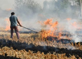 ਫ਼ਰੀਦਕੋਟ ਪੁਲਿਸ ਵੱਲੋਂ ਪਰਾਲੀ ਸਾੜਨ ਵਾਲਿਆਂ ‘ਤੇ ਵੱਡੀ ਕਾਰਵਾਈ : 17 ਹੋਰ ਕਿਸਾਨਾਂ ਖਿਲਾਫ ਮਾਮਲੇ ਕੀਤੇ ਦਰਜ