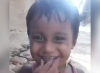 ਫ਼ਿਰੋਜ਼ਪੁਰ ‘ਚ 2 ਮਾਸੂਮ ਬੱਚਿਆਂ ਨੂੰ ਕੁੱਤਿਆਂ ਨੇ ਵੱਢਿਆ, 1 ਬੱਚੇ ਦੀ ਮੌਤ; ਦੂਜਾ ਸੀਰੀਅਸ