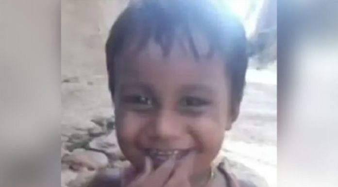 ਫ਼ਿਰੋਜ਼ਪੁਰ ‘ਚ 2 ਮਾਸੂਮ ਬੱਚਿਆਂ ਨੂੰ ਕੁੱਤਿਆਂ ਨੇ ਵੱਢਿਆ, 1 ਬੱਚੇ ਦੀ ਮੌਤ; ਦੂਜਾ ਸੀਰੀਅਸ