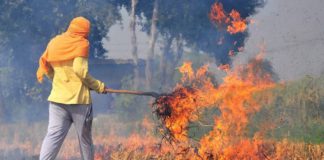 ਮੋਗਾ : ਪਰਾਲੀ ਨੂੰ ਅੱਗ ਲਗਾਉਣੀ ਨੰਬਰਦਾਰ ਨੂੰ ਪਈ ਮਹਿੰਗੀ, ਡੀਸੀ ਨੇ ਕੀਤਾ ਸਸਪੈਂਡ