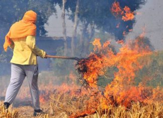 ਮੋਗਾ : ਪਰਾਲੀ ਨੂੰ ਅੱਗ ਲਗਾਉਣੀ ਨੰਬਰਦਾਰ ਨੂੰ ਪਈ ਮਹਿੰਗੀ, ਡੀਸੀ ਨੇ ਕੀਤਾ ਸਸਪੈਂਡ