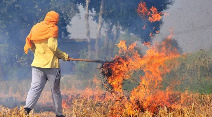 ਮੋਗਾ : ਪਰਾਲੀ ਨੂੰ ਅੱਗ ਲਗਾਉਣੀ ਨੰਬਰਦਾਰ ਨੂੰ ਪਈ ਮਹਿੰਗੀ, ਡੀਸੀ ਨੇ ਕੀਤਾ ਸਸਪੈਂਡ