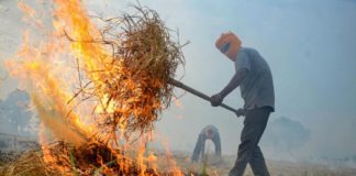 ਵੱਡੀ ਖਬਰ : ਪਰਾਲੀ ਸਾੜਨ ਦੇ ਮਾਮਲਿਆਂ ‘ਚ ਸਥਾਨਕ SHO ਹੋਣਗੇ ਜ਼ਿੰਮੇਵਾਰ- ਸੁਪਰੀਮ ਕੋਰਟ