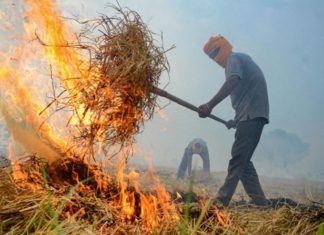 ਵੱਡੀ ਖਬਰ : ਪਰਾਲੀ ਸਾੜਨ ਦੇ ਮਾਮਲਿਆਂ ‘ਚ ਸਥਾਨਕ SHO ਹੋਣਗੇ ਜ਼ਿੰਮੇਵਾਰ- ਸੁਪਰੀਮ ਕੋਰਟ