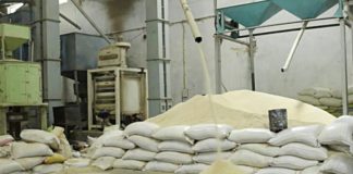 ਫਰੀਦਕੋਟ : ਕੰਧ ਟੱਪ ਕੇ ਸ਼ੈਲਰ ’ਚੋਂ 80 ਗੱਟੇ ਚੌਲਾਂ ਦੇ ਉਡਾਏ, ਅੱਧੀ ਦਰਜਨ ਨੌਜਵਾਨਾਂ ਨੇ ਵਾਰਦਾਤ ਨੂੰ ਦਿੱਤਾ ਅੰਜਾਮ