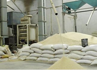 ਫਰੀਦਕੋਟ : ਕੰਧ ਟੱਪ ਕੇ ਸ਼ੈਲਰ ’ਚੋਂ 80 ਗੱਟੇ ਚੌਲਾਂ ਦੇ ਉਡਾਏ, ਅੱਧੀ ਦਰਜਨ ਨੌਜਵਾਨਾਂ ਨੇ ਵਾਰਦਾਤ ਨੂੰ ਦਿੱਤਾ ਅੰਜਾਮ