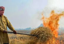 ਵੱਡੀ ਖਬਰ : ਪਰਾਲੀ ਸਾੜਨ ਦੇ ਮਾਮਲਿਆਂ ‘ਚ ਪੰਜਾਬ ਦੇ 18 ਕਿਸਾਨਾਂ ’ਤੇ FIR; ਇੰਨਿਆਂ ਨੂੰ 52 ਲੱਖ ਹੋਇਆ ਜੁਰਮਾਨਾ